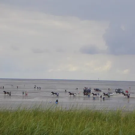 Haus-cuxita * Cuxhaven